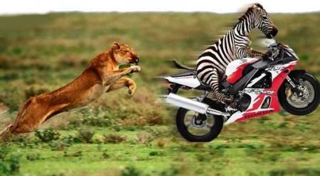 rapide